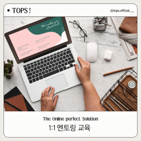 1:1 멘토링 교육